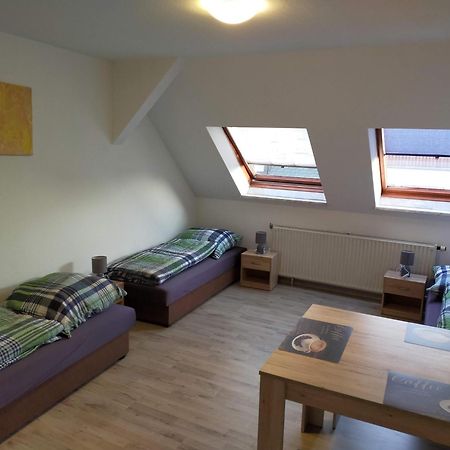Flex Aparts - Grosse, Moeblierte Wohnung In Zwickau Mit 2 Zimmern ภายนอก รูปภาพ